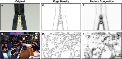 Visual Complexity and Affect: Ratings Reflect More Than Meets the Eye